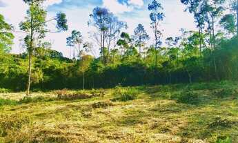 Imagem 3: Comece a Investir em Terrenos no Interior em Ibiúna SP