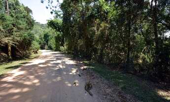 Imagem 1: Área à venda, 3790 m² por R$ 120.000,00 - Parque Pedra do Baú - Campos do Jordão/SP