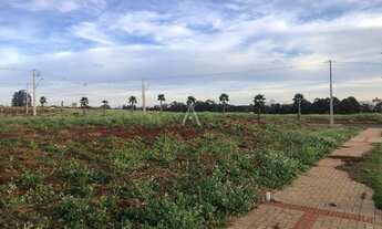 Imagem 3: Terreno a venda, uso comercial ou residencial, Colinas Tropical - Cascavel/PR