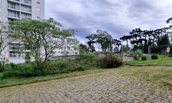 Imagem 2: CAXIAS DO SUL - Terreno Padrão - VINHEDOS