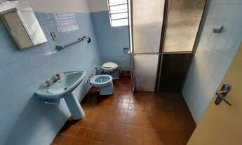 Imagem 6: Locação de Casas / Padrão na cidade de Araraquara