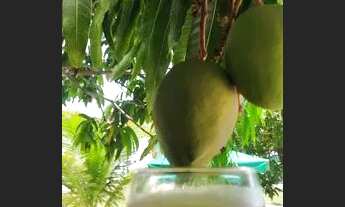 Imagem: Casa em Tamandaré - PE