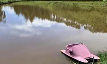 Imagem 6: CHÁCARA NA PLANTA COM 120M² EM IGARATÁ