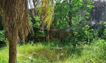 Imagem 7: Pecém, Apartamentos 2 quartos