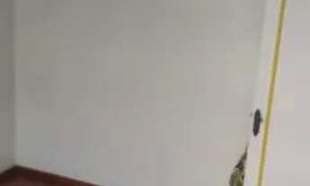 Imagem 7: Ap 2 qts com dep - Cachambi - Rua hermínia