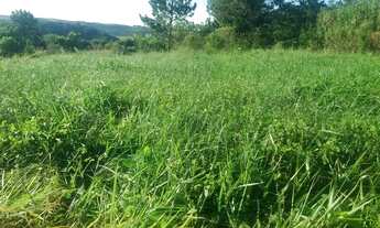 Imagem 2: 2 loteTerreno 1000 M2