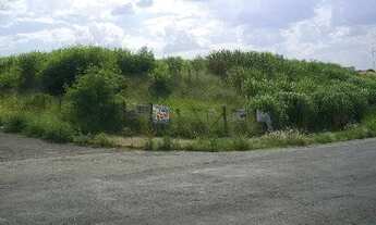 Imagem 3: área - Parque Taquaral - Campinas