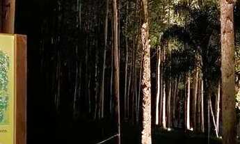 Imagem 6: Oportunidade R$ 25.000,00 - Ninho Verde 2