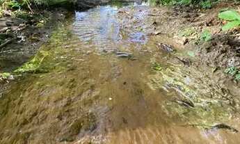 Imagem 9: LINDO TERRENO EM SÃO JOSE DA LAPA 1770 MT'S
