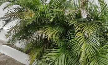 Imagem 4: Casa para aluguel possui 75 metros quadrados com 3 quartos em Ramos - Rio de Janeiro - RJ