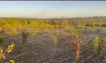 Imagem 4: Posse 13.8 hectares Incra 7 aceit- casa em Vicente Pires ou arniqueiras