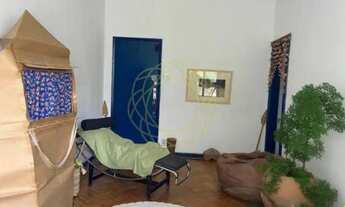 Imagem: Jardim Botânico