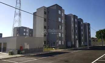 Imagem: Apartamento - Jardim São Gabriel - Campinas