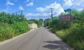 Imagem 2: Terreno murado documentado a 400m da praia do meii