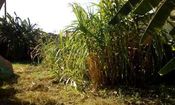 Imagem 3: Terreno de 400 m2 com Rgi A Poucos Minutos do Centro de Campo Grande