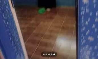 Imagem 2: Apartamento Apartamento com 2 dormitórios