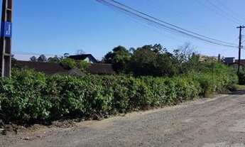 Imagem 4: TERRENO no ITAUM com 0 quartos para VENDA, 63 m²