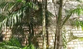 Imagem 2: Venda casa com terreno atrás grande