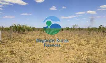 Imagem 3: Fazenda dupla aptidão Norte Tocantins