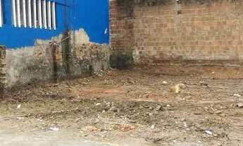 Imagem 6: Terreno na várzea próximo a caxangá