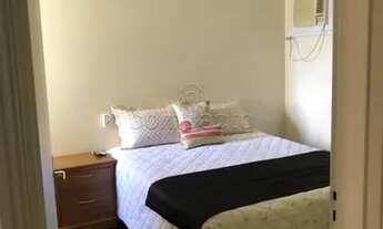 Imagem 4: Apartamento Padrão em São José do Rio Preto