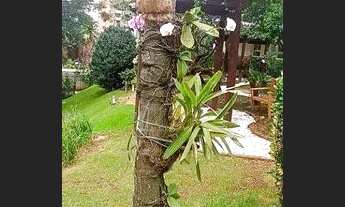 Imagem 6: Apartamento com 3 dormitórios para alugar, 212 m² por R$ 14.916,00/mês - Alphaville Indust