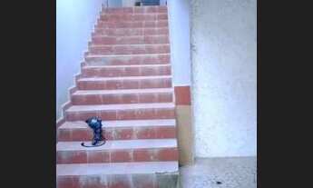 Imagem 2: Casa para aluguel com 43 metros quadrados com 1 quarto em Centro - São Bernardo do Campo