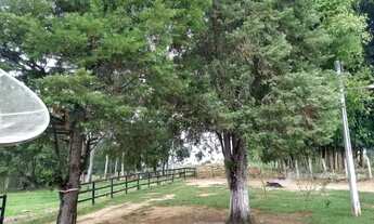 Imagem 2: SITIO RURAL em SARAPUÍ - SP, rural
