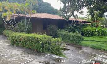 Imagem 4: Sítio no Eusébio para Venda - CH46031