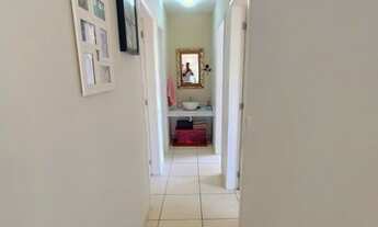 Imagem 4: Apartamento Glória c/ 3qts, send 1 suíte, 2brs, 2vgs, amrs plnjds, vrnd, blindex