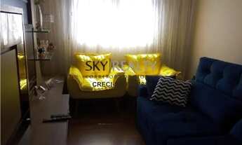 Imagem 2: SAO PAULO - Padrão - Jardim Miriam