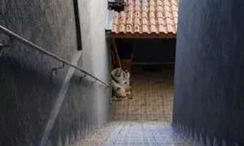 Imagem 3: Lindo Sobrado - 205 m² - 2 Dorms