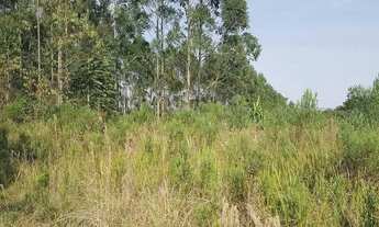 Imagem 7: Área Rural 7,72 Alqueires - 3 Barras de Cima!