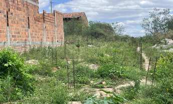 Imagem 3: Vendo terreno viveiros