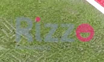 Imagem 4: Área com 25.000m² para Locação, Sítio de Recreio Mansões Bernardo Sayão, Goiânia, GO