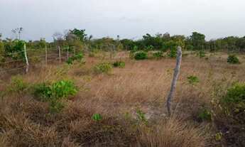 Imagem: Terreno em Barreirinhas no São Domingos