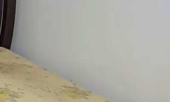 Imagem 5: ALUGO CASA TEMPORADA BALNEÁRIO PICARRAS DIA 27 ATE 09 JANEIRO JA ALUGADA