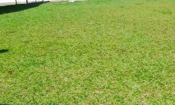 Imagem 2: Apartamento reformado Casa de Rua com 2 Quarto(s) e 1 banheiro(s) à Venda, 250 por R$ 125