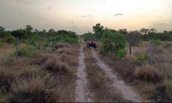 Imagem 2: Terreno em Barreirinhas no São Domingos