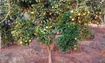 Imagem 5: Venda Chácara ÁREA RURAL DE UBERLÂNDIA