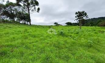 Imagem: Chácara com 3 hectares no Juá em São