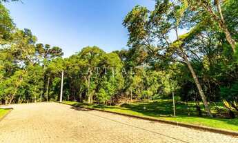 Imagem: TERRENO COM PARCELAMENTO DIRETO EM ATÉ