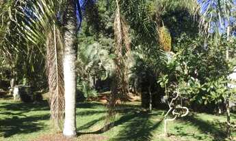 Imagem 6: Sítio - Florianópolis SC