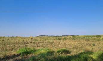 Imagem 2: Fazenda 124 alqueires Regiao de São Pedro SP