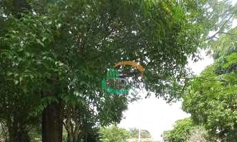 Imagem 2: Sítio à venda, 48000 m² - Chácara Bela Vista - Sumaré/SP