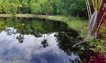 Imagem 5: Presidente Figueiredo