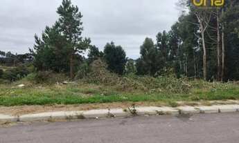 Imagem 6: Terreno à venda, 3700 m² por R$ 660.000,00 - Vila Brasila - Mandirituba/PR