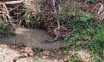 Imagem 4: Chácara em Guapó