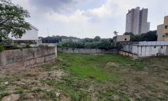 Imagem 5: Terreno 1.600m2 Dom Pedro, Jacira Reis