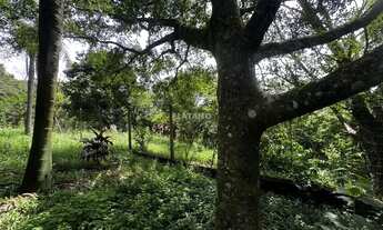 Imagem 5: Imóvel no Travessão, Dois Irmãos